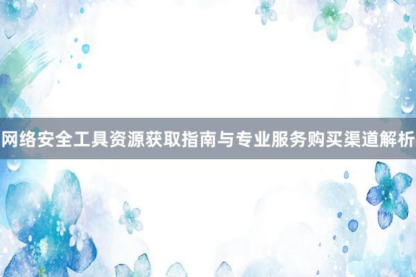 网络安全工具资源获取指南与专业服务购买渠道解析
