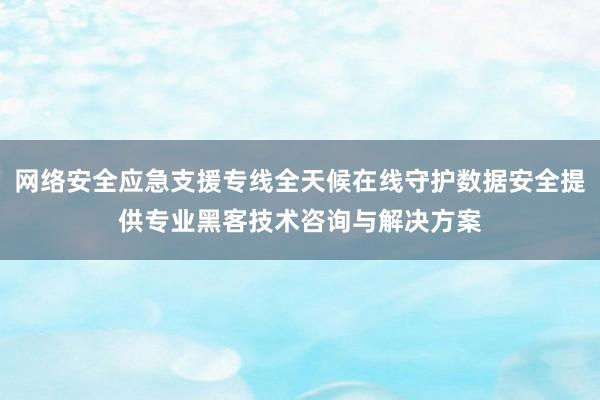 网络安全应急支援专线全天候在线守护数据安全提供专业黑客技术咨询与解决方案